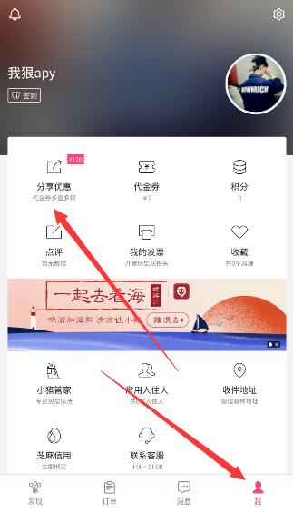 双边关系再添动力 全球治理展现担当